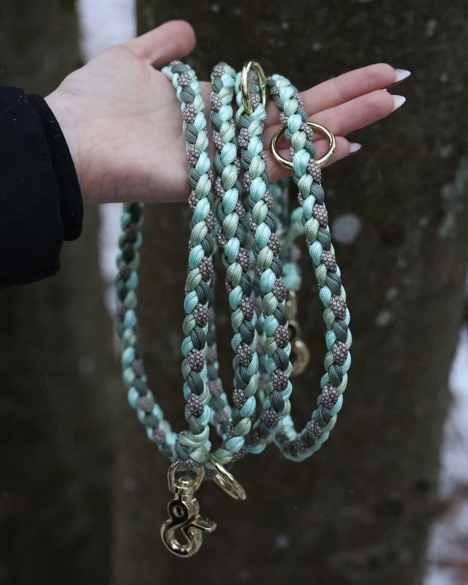 individualisierbare Hundeleine - Muster "Double Braid"