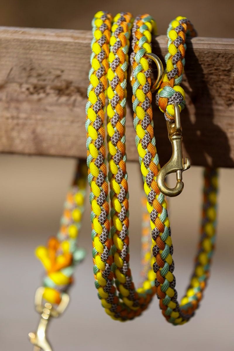 individualisierte Leine - Muster "Gaucho"