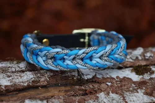 Das Hundehalsband "Arktic Coast" aus Paracord in den Farben Grau und Blau mit goldenen Beschlägen