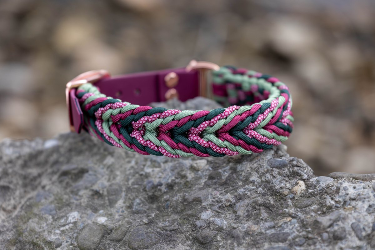 Hundehalsband in Rot, Grün und Rosegoldenen Beschlägen