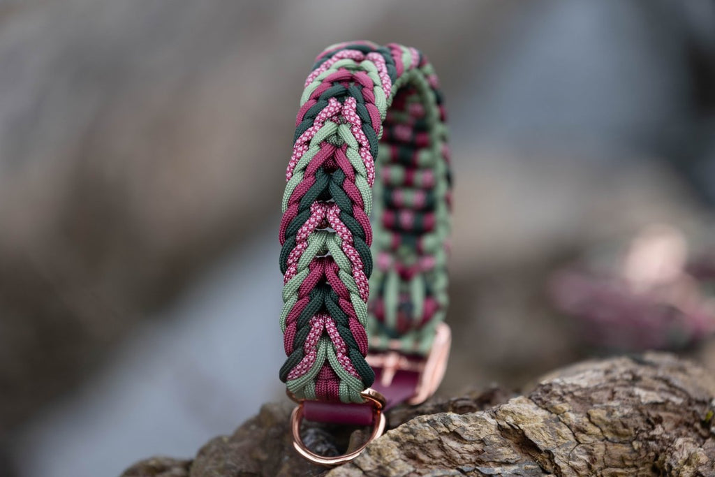 Hundehalsband in Rot und Grün