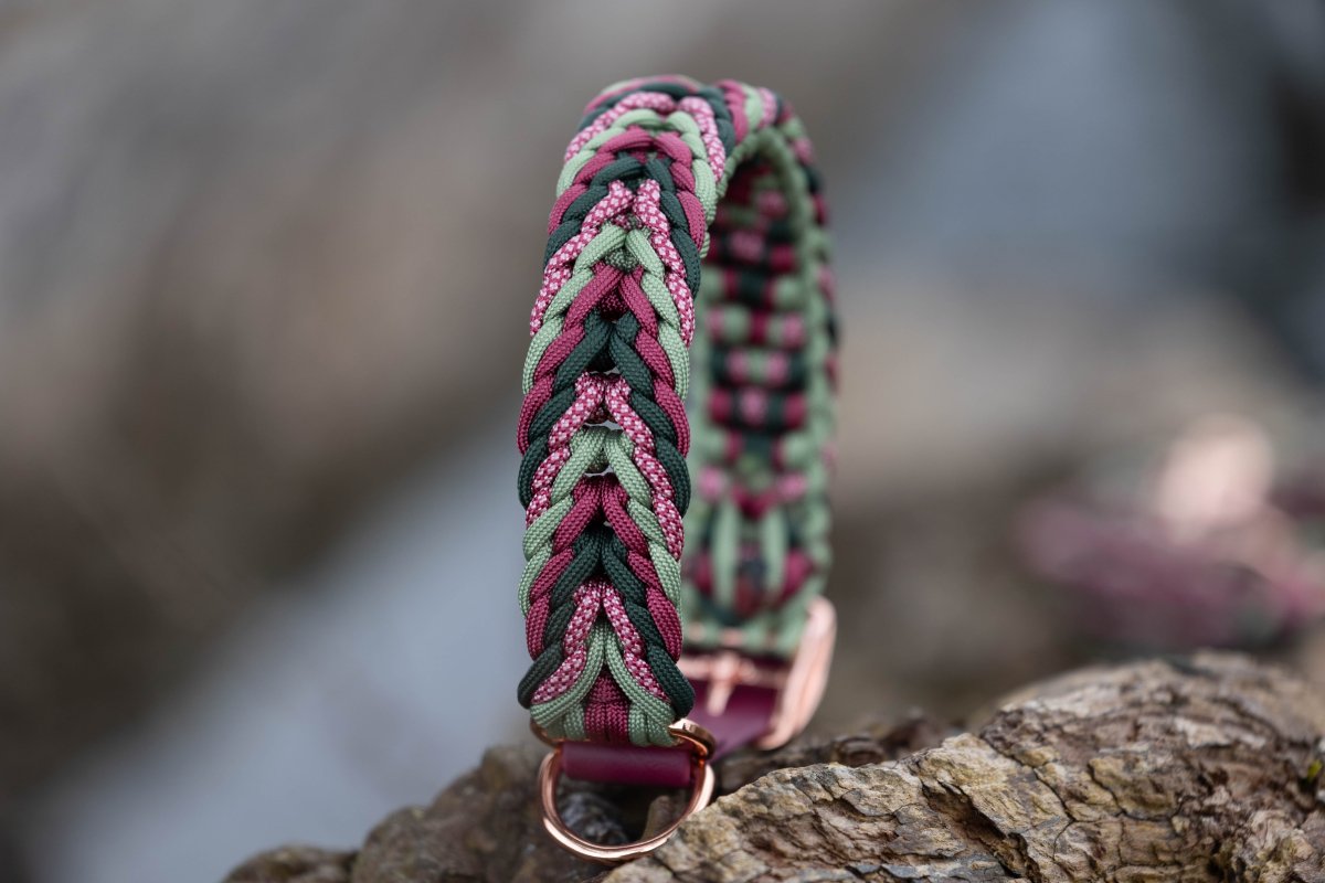 Hundehalsband in Rot und Grün