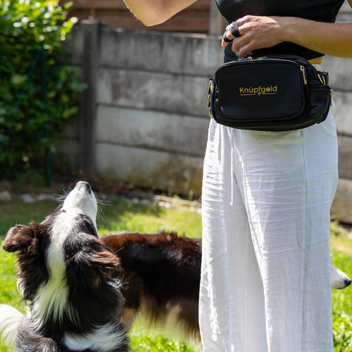 Gassi-Tasche für Hunde mit herausnehmbarem Leckerlibeutel