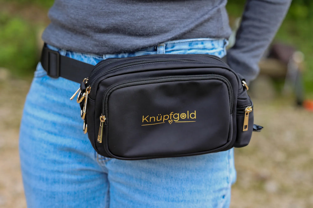 Gassi-Tasche für Hunde mit herausnehmbarem Leckerlibeutel