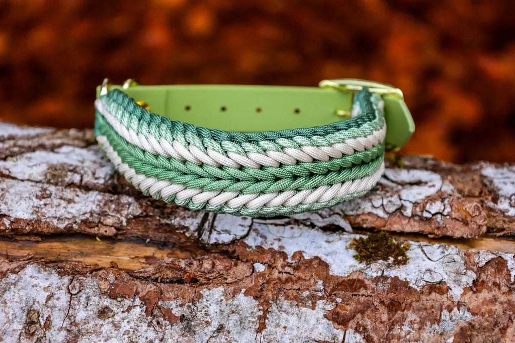 individualisiertes Hundehalsband - Muster "Shining Sun" Knüpfgold