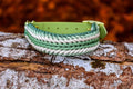 individualisiertes Hundehalsband - Muster "Shining Sun" Knüpfgold