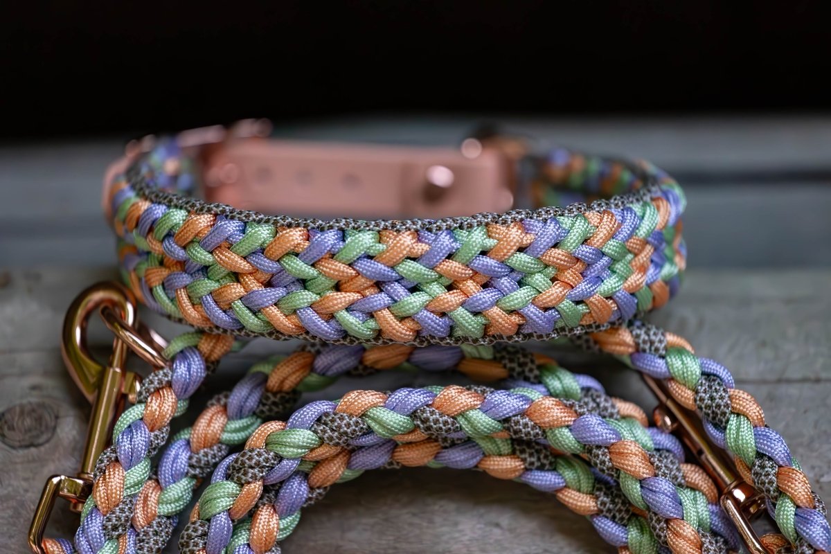 Hundehalsband "Harmony" aus Paracord