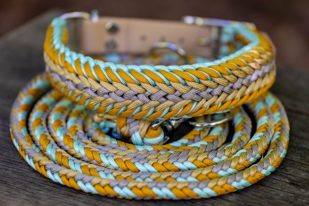 Knüpfgold Hundehalsband "Mirage" aus Paracord