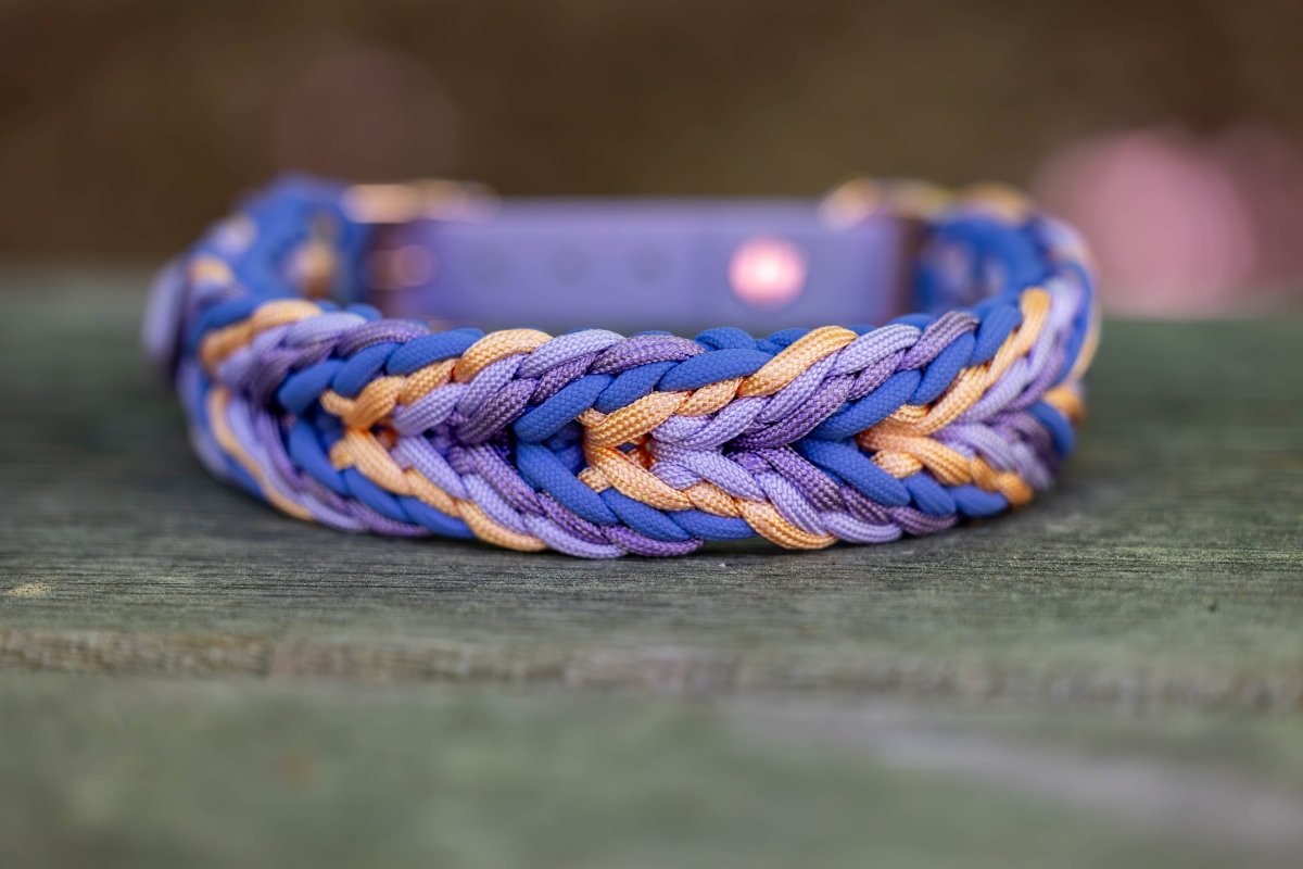 Hundehalsband "Sunset" aus Paracord