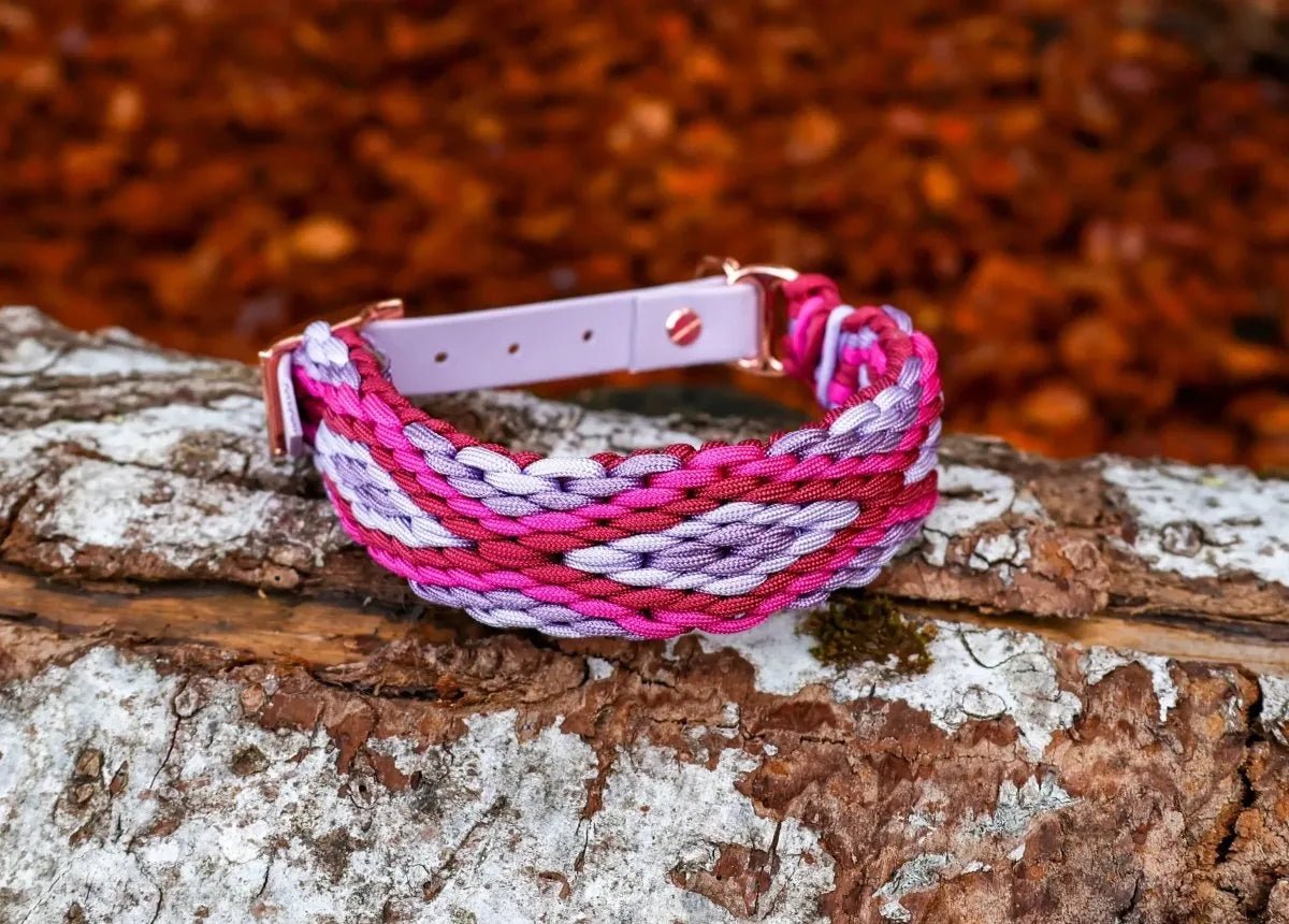 Hundehalsband "Lavender Dream" aus Paracord f0r6vf-0r.myshopify.com