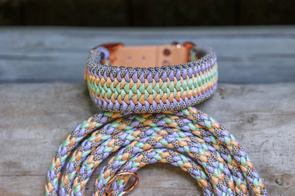 Knüpfgold Hundehalsband "Sage" aus Paracord