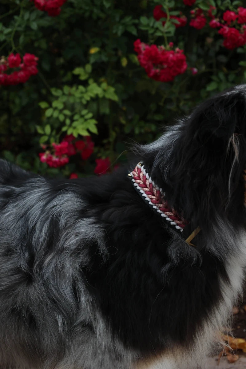 Hundehalsband "Santa" aus Paracord f0r6vf-0r.myshopify.com