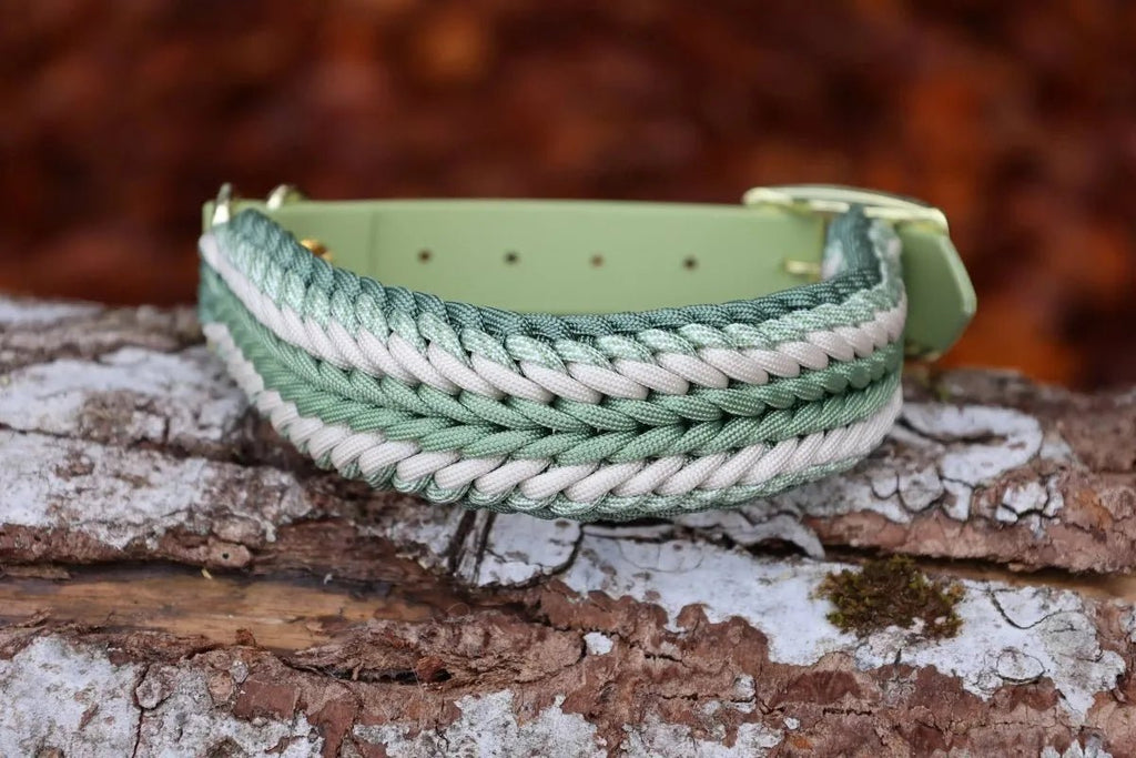 Hundehalsband "Shining Green" aus Paracord f0r6vf-0r.myshopify.com