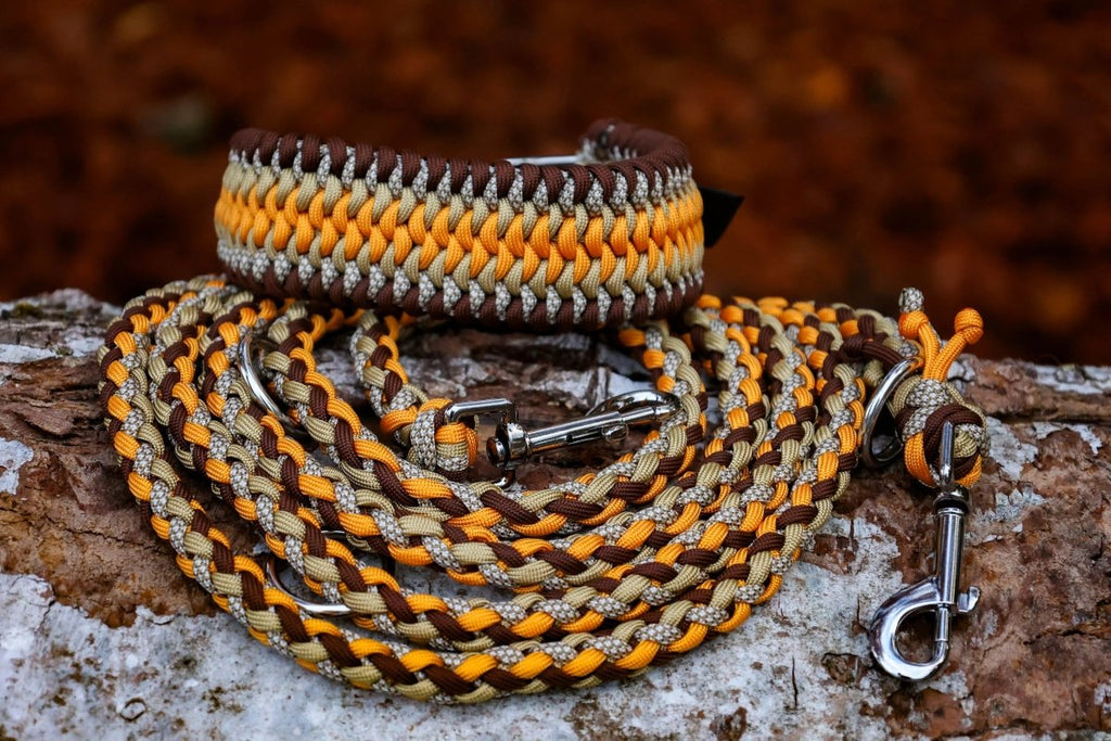 Hundeleine "Golden Autumn" aus Paracord und Halsband in Gold, Braun, Orange, Creme mit silbernen BEschlägen