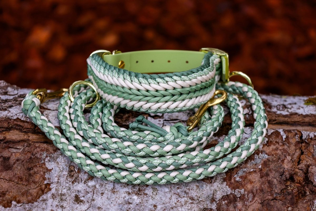 Hundeleine "Shining Green" aus Paracord inkl. Halsband in mehreren Grüntönen, weiss und Goldfarbene Beschläge | Knuepfgold