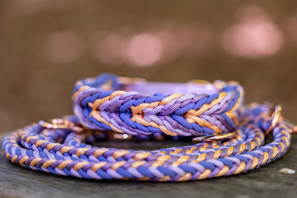 Knüpfgold Hundehalsband "Sunset" aus Paracord