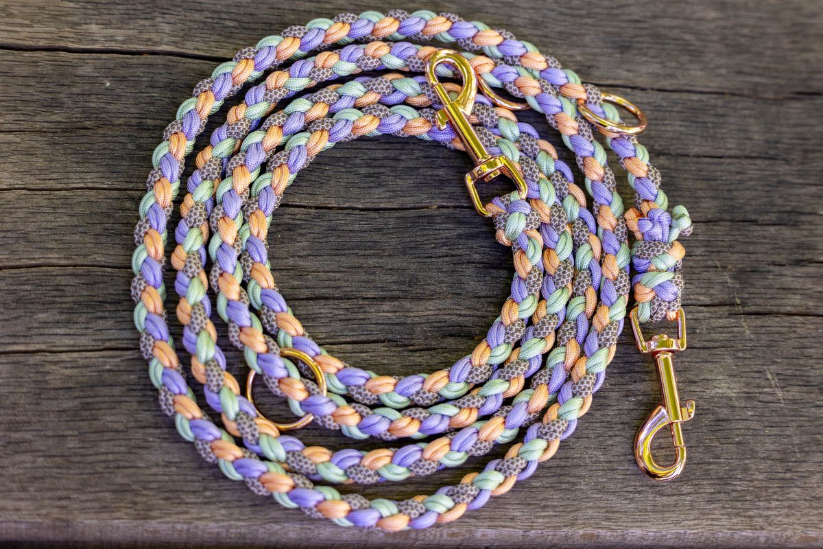 Hundeleine "Harmony" aus Paracord