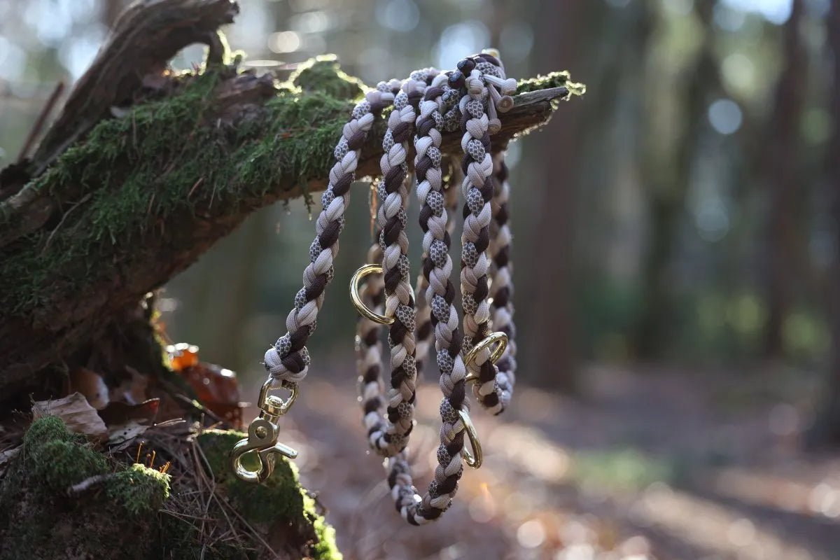 Hundeleine "Cappuccino" aus Paracord f0r6vf-0r.myshopify.com