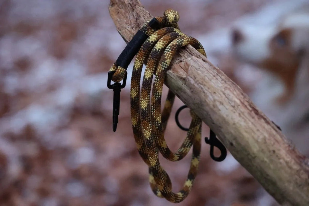 Hundeleine „Classic“ Gold f0r6vf-0r.myshopify.com