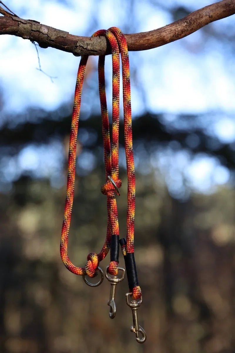 Hundeleine „Classic“ Rot | Gelb f0r6vf-0r.myshopify.com