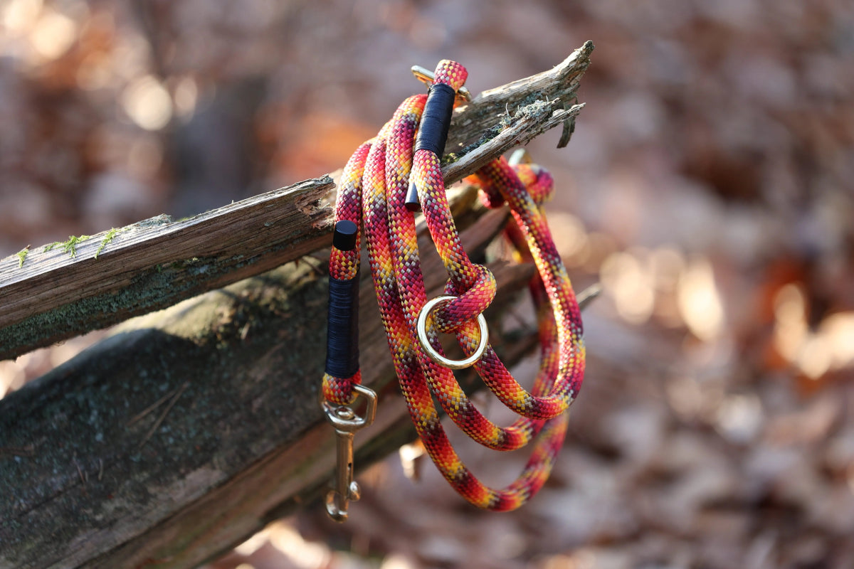 Hundeleine „Classic“ Rot | Gelb f0r6vf-0r.myshopify.com