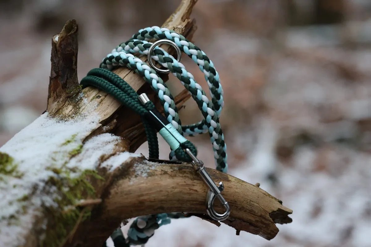 Hundeleine "Dreamy" aus Paracord und Tau f0r6vf-0r.myshopify.com