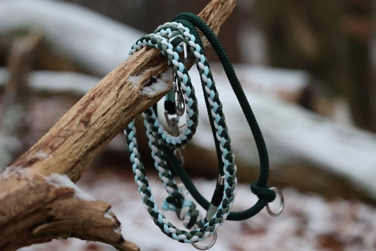 Hundeleine "Dreamy" aus Paracord und Tau f0r6vf-0r.myshopify.com