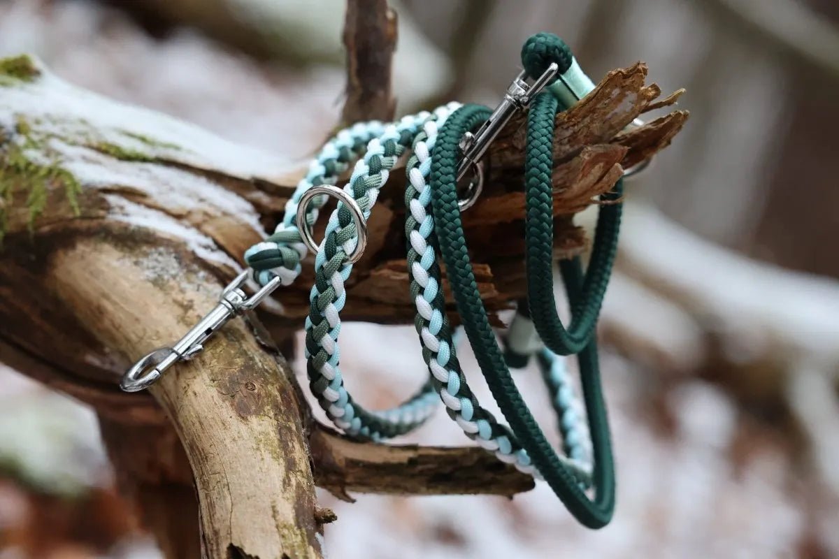 Hundeleine "Dreamy" aus Paracord und Tau f0r6vf-0r.myshopify.com