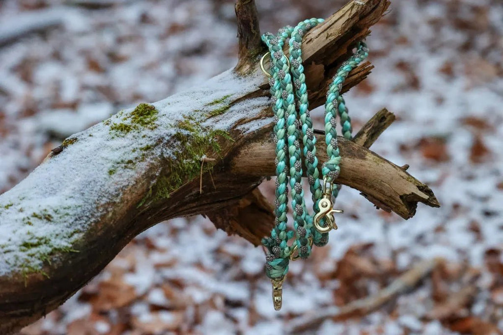 Hundeleine "Emerald" aus Paracord f0r6vf-0r.myshopify.com