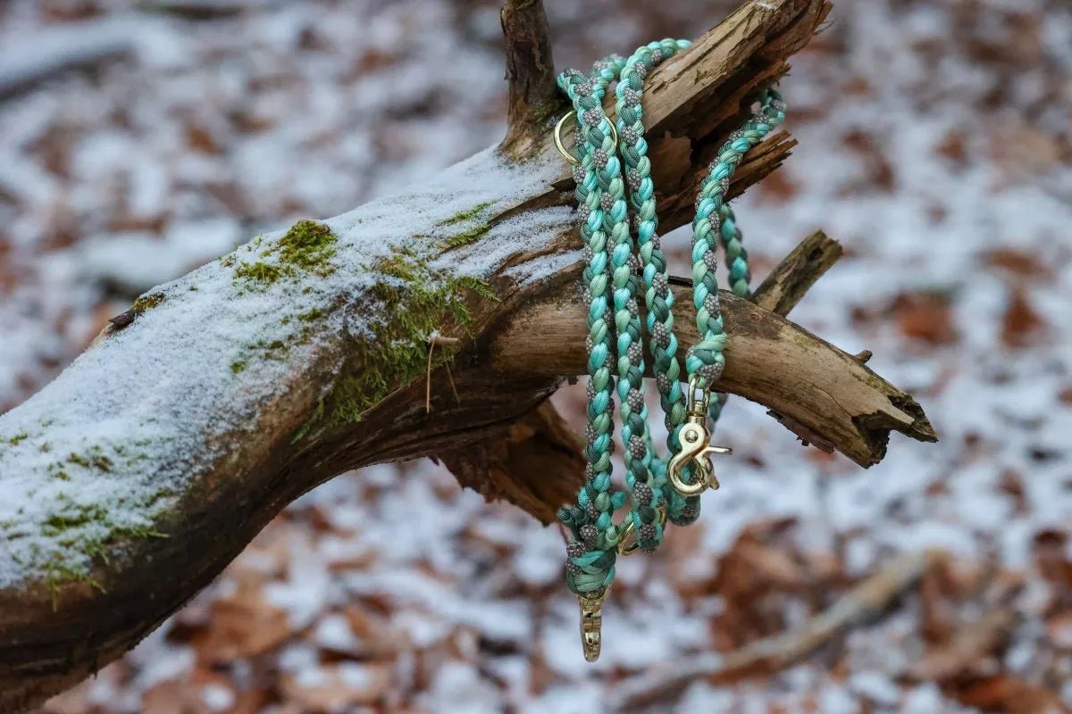 Hundeleine "Emerald" aus Paracord f0r6vf-0r.myshopify.com