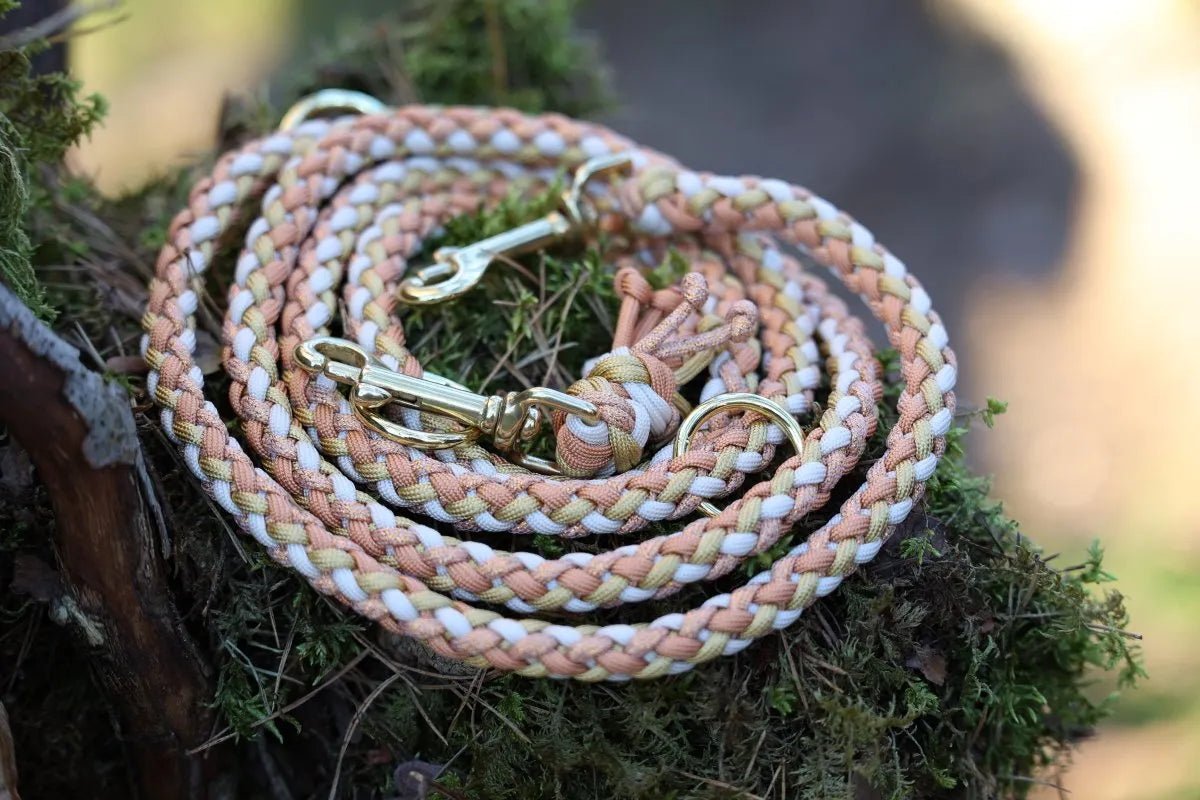 Hundeleine "Mayla" aus Paracord f0r6vf-0r.myshopify.com