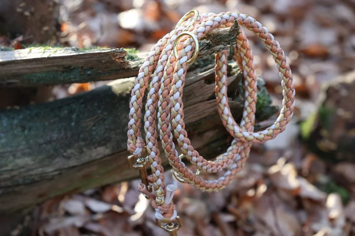 Hundeleine "Mayla" aus Paracord f0r6vf-0r.myshopify.com