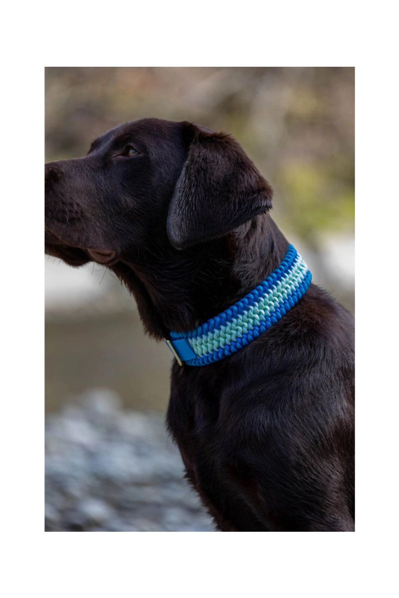 Hundehalsband in Blau von Knüpfgold