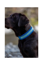 Hundehalsband in Blau von Knüpfgold