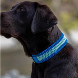 Hundehalsband in Blau von Knüpfgold