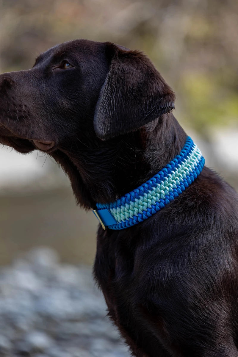 Hundehalsband "BlueVibes" aus Paracord
