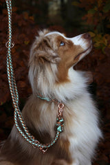 Knüpfgold Hund mit türkis, braun und Kupferfarbenem Halsband