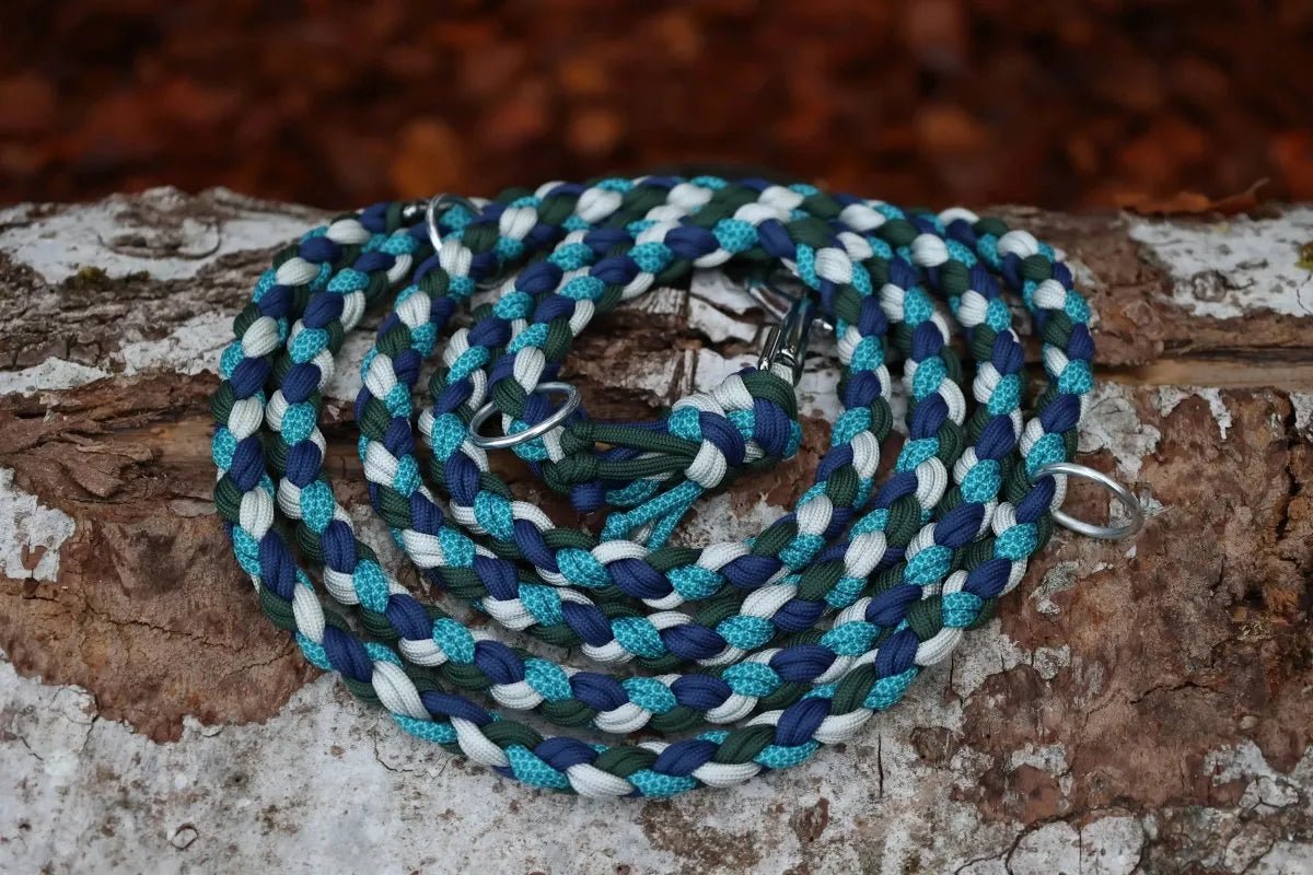 individualisierbare Hundeleine - Muster "Double Braid" f0r6vf-0r.myshopify.com