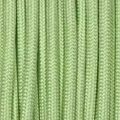 Paracord-Farbe Icy Grün